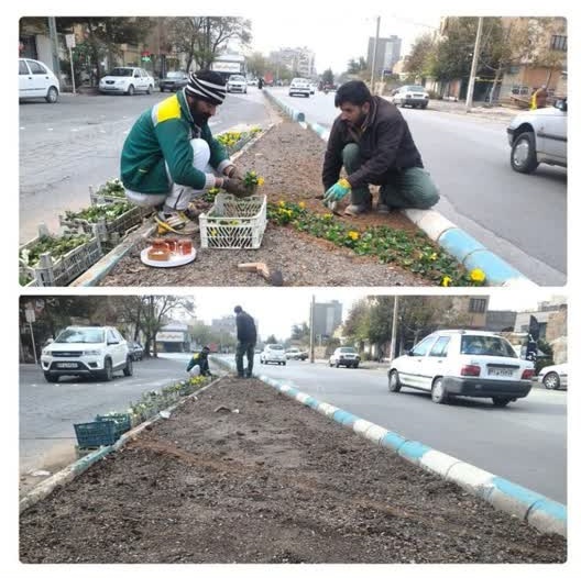 گوشه ای از عملکرد سازمان سیما، منظر و فضای سبز شهری
