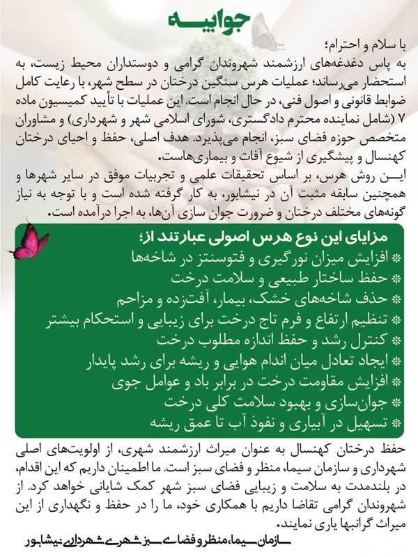 پاسخ سازمان سیما، منظر و فضای سبز شهری شهرداری نیشابور به دغدغه‌ شهروندان درخصوص هرس درختان  سطح شهر