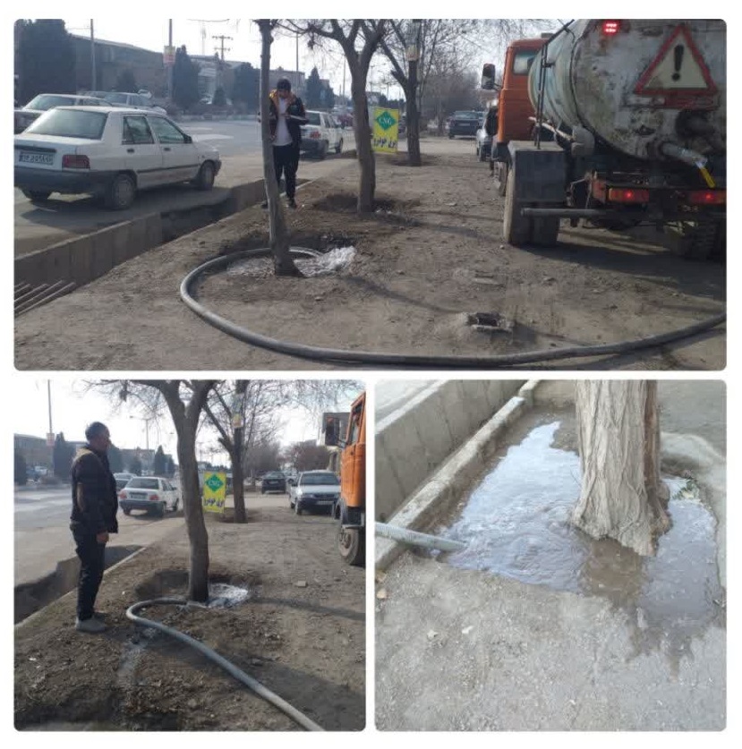 آبیاری زمستانه درختان نیشابور تضمینی برای سرسبزی بهار