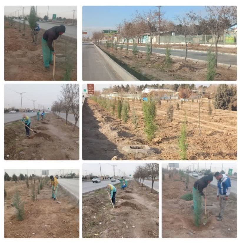 کاشت ۲۰۱ اصله نهال در محور کمربندی